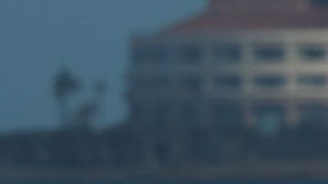 Carmen Greentree se retiró del surf en 2003.