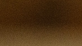 Roman-Martinez era paracaidista de la División de Aire 82 en Fort Bragg, Carolina del Norte.