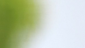 El pelotero Travis Shaw ha manifestado su desacuerdo a las medidas del equipo.