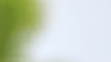 El pelotero Travis Shaw ha manifestado su desacuerdo a las medidas del equipo.