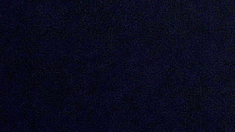 LeBron James primer auto