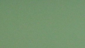 La realización exitosa del torneo “MLS is Back” sigue en duda ante la salida del FC Dallas.