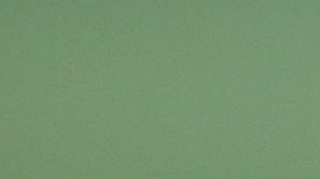 La realización exitosa del torneo “MLS is Back” sigue en duda ante la salida del FC Dallas.