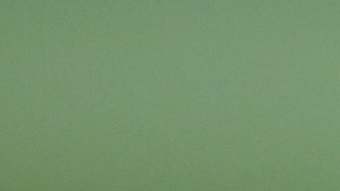 La realización exitosa del torneo “MLS is Back” sigue en duda ante la salida del FC Dallas.