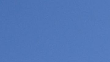 Manifestantes a las afueras del Capitolio de California. Foto de archivo.