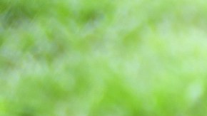 Debido a la crisis de salud, las clases de WRD pasaron de ser presenciales a enseñanza por Internet.