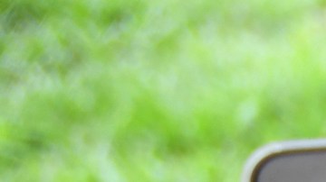 Debido a la crisis de salud, las clases de WRD pasaron de ser presenciales a enseñanza por Internet.