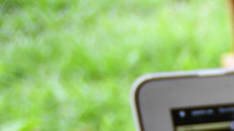 Debido a la crisis de salud, las clases de WRD pasaron de ser presenciales a enseñanza por Internet.