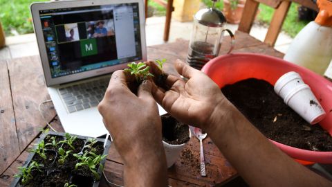 Debido a la crisis de salud, las clases de WRD pasaron de ser presenciales a enseñanza por Internet.