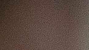 El congresista por Missouri Josh Hawley fue insultado por el comunicador.