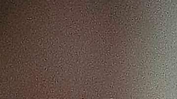 El congresista por Missouri Josh Hawley fue insultado por el comunicador.