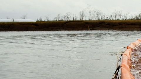 Se han instalado tres barreras flotantes en un arroyo que conecta a dos lagos.