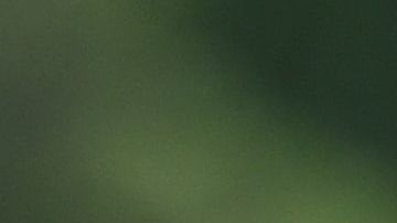 El senador Mitch McConnell y el jefe de Gabiente de la Casa Blanca, Mark Meadows.