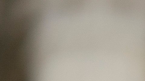 Otros 14 estados entregan este tipo de licencias sin importar estatus.