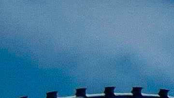 Navidad se entregó en 2017 ante las autoridades migratorias de EE.UU.