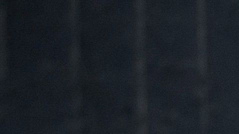 Trump firmó la semana pasada la milla 200 del muro fronterizo físico.