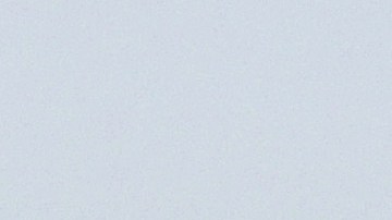 Una gaviota y la playa en Newport Beach. El 3 de julio el lugar fue caótico.