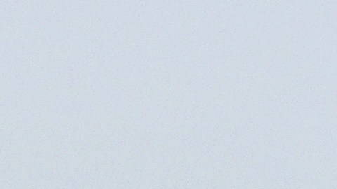 Una gaviota y la playa en Newport Beach. El 3 de julio el lugar fue caótico.