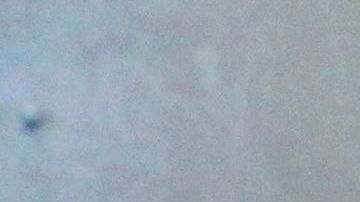 Algunos ensayos de vacunas están arrojando resultados positivos.