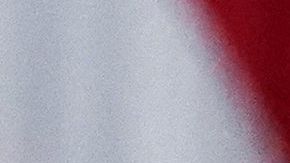 Solo el Congreso -y no el presidente- puede aprobar un nuevo cheque de estímulo.