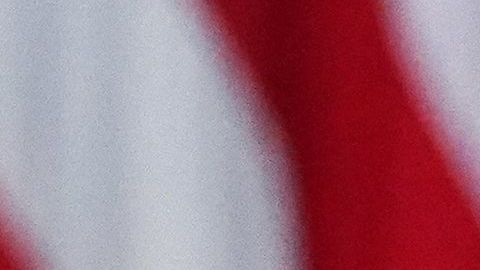 Solo el Congreso -y no el presidente- puede aprobar un nuevo cheque de estímulo.