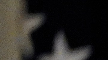 La imagen de Ivanka Trump con la lata de frijoles superó los 25,000 likes en menos de una hora.