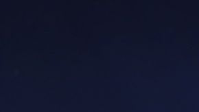 Franck Ribery en un partido con Fiorentina.