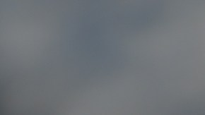 A través de una app se podrán seguir los movimientos de las personas contagiadas con coronavirus.