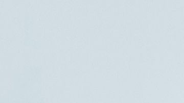 Donald Trump desestimó que los términos con referencias a los pueblos nativos sean racistas y ofensivos.