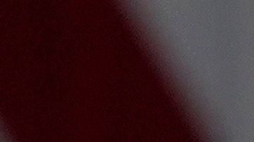 El presidente Trump oficializó la salida de EE.UU. de la OMS.