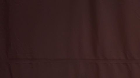 Logo de los Washington Redskins.