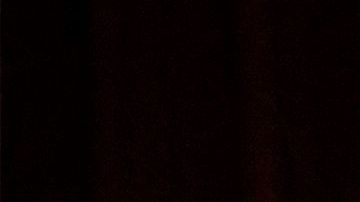 Robert Unanue (izq.), Trump y la vicegobernadora de Florida Jeanette Nuñez en la Casa Blanca.