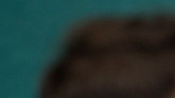 En diversas partes del mundo el uso de la mascarilla es obligatorio.