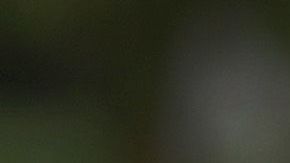 Desempleo Estados Unidos Seguro de desempleo estímulo Abril economía crisis coronavirus COVID-19 Recesión