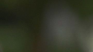 Desempleo Estados Unidos Seguro de desempleo estímulo Abril economía crisis coronavirus COVID-19 Recesión