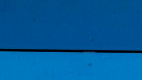 Walmart no abrirá sus puertas el Día de Acción de Gracias.