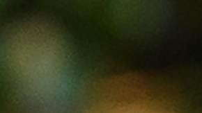 El último mitin de Trump (en Tulsa) fue visto como un fracaso de campaña.