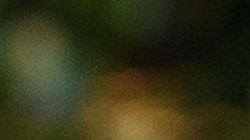 El último mitin de Trump (en Tulsa) fue visto como un fracaso de campaña.