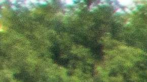 La policía arrojó contra el suelo a un hombre y a una mujer.