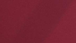 El mandatario ha insistido en que la pandemia va a la baja.