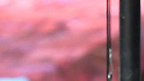 Raúl Jiménez festejando un gol con Wolves.