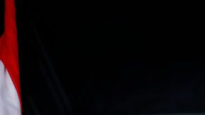 Los peculiares hinchas del Fleetwood.