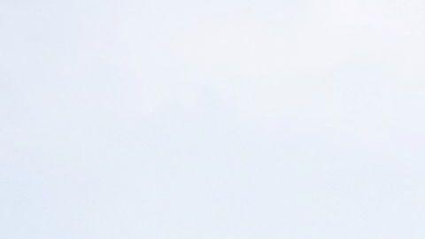 Una bandera estadounidense es quemada en Washington.