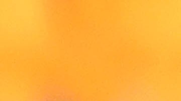 Patric perdió la cabeza y soltó una mordida en la derrota de su equipo.