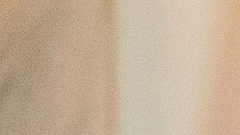 AMLO y Donald Trump antes de la cena.