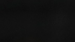 El atacante mexicano Rodolfo Pizarro marcó por primera ocasión en el torneo “MLS is Back”.