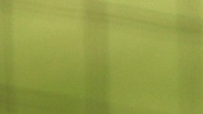 Gabe Kapler se unió a las manifestaciones antirracistas.