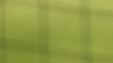 Gabe Kapler se unió a las manifestaciones antirracistas.