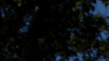 Una vigilia por las enfermeras que murieron de COVID-19 se realizó en Washington, DC.