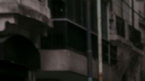 Autoridades recomiendan cuidar responsablemente de nuestros animales.